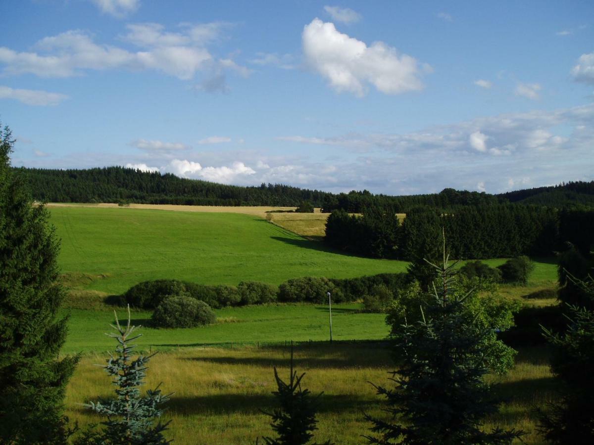 Holiday home Eifelcottage Family 9 Ulmen
